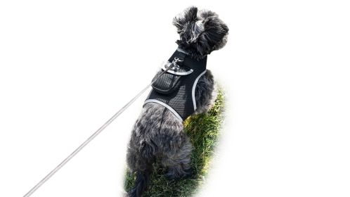Waterproof GPRS GPS Dog Tracking Collar Wireless Pet Security Locator Size:XS