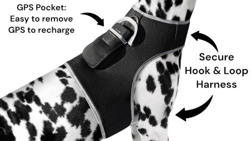 Waterproof Pet Locating Device GSM GPS Dog Cat Collar Tracking Device Size:XS
